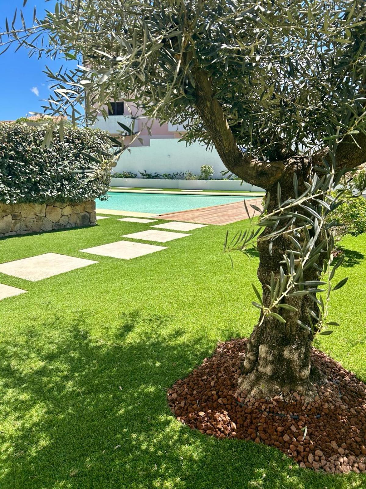 Appartamento Incantevole Con Piscina 帕劳 外观 照片